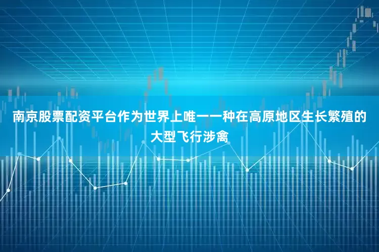 南京股票配资平台作为世界上唯一一种在高原地区生长繁殖的大型飞行涉禽