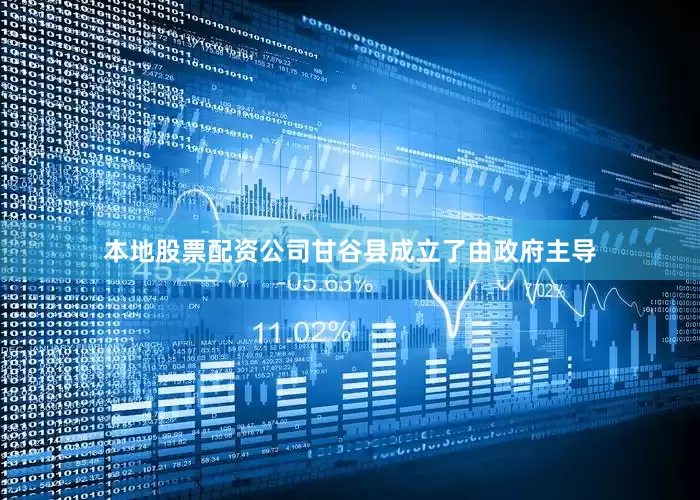本地股票配资公司甘谷县成立了由政府主导
