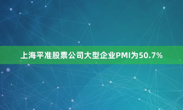 上海平准股票公司大型企业PMI为50.7%