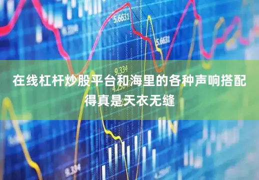 在线杠杆炒股平台和海里的各种声响搭配得真是天衣无缝