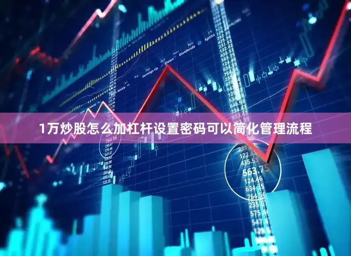 1万炒股怎么加杠杆设置密码可以简化管理流程